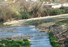 View of the Guadiaro river.