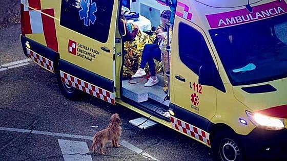 A gas explosion in Valladolid leaves thirteen people injured, including two babies