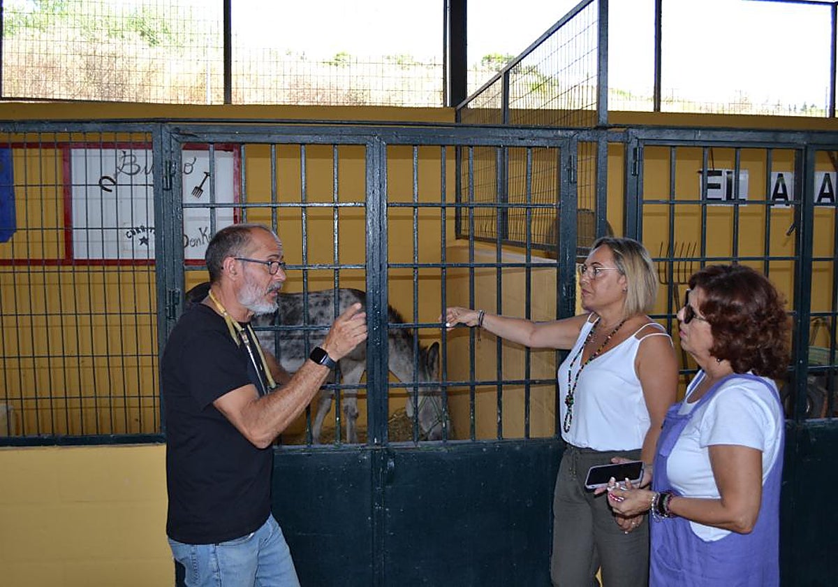 The veterinary surgeon at the animal educational centre on Thursday.