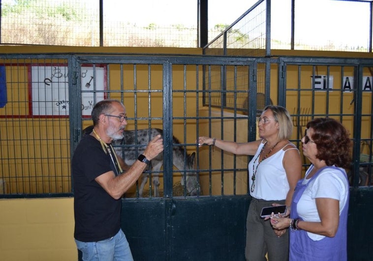 Animals at Entrerríos centre in Mijas given clean bill of health after vet's visit