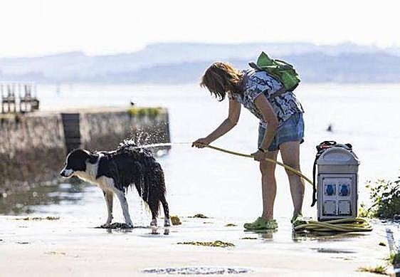 A woman showers her dog