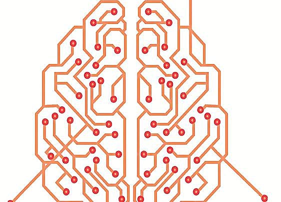 The mysteries of the brain