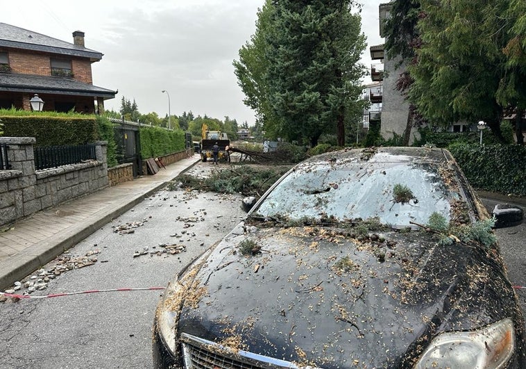 A new 'dana' weather system is due to hit the south of Spain at end of this week