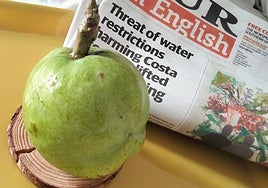 White zapote from Nerja.