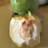 Imagen - Black sapote is known as chocolate pudding fruit thanks to its consistency similar to chocolate mousse. The taste of white sapote is closer to a vanilla flan