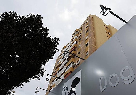 The alleged incident took place in one of the tower blocks on Avenida Carlos Haya in Malaga.