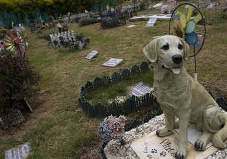 What will it cost to cremate or bury a pet in Malaga? Planned animal cemetery releases pricing details