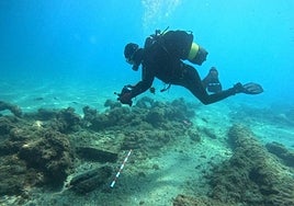 A diver investigates the wreck off San Pedro Alcántara.
