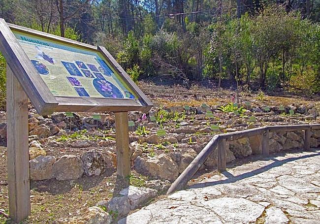 In El Castillejo garden you can find the native flora of the area.
