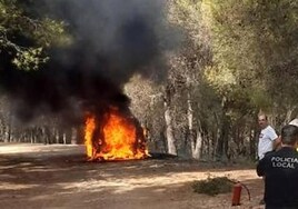Firefighters act fast to prevent a forest fire in Alhaurín after vehicle bursts into flames