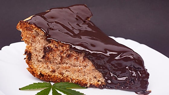 Student plunges three floors from Malaga flat while 'escaping from kidnappers' after eating cake laced with marijuana