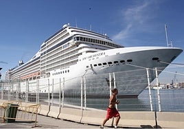 MSC Orchestra, docked in Malaga Port (file image).