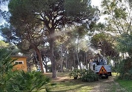 Marbella opens several new barbecue areas in its parks