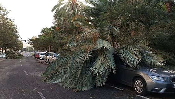 Storm Bernard to remain over Spain and put 18 provinces on alert on Monday