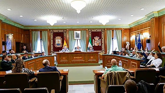 Marbella's Low Emission Zone comes into effect, but without fines