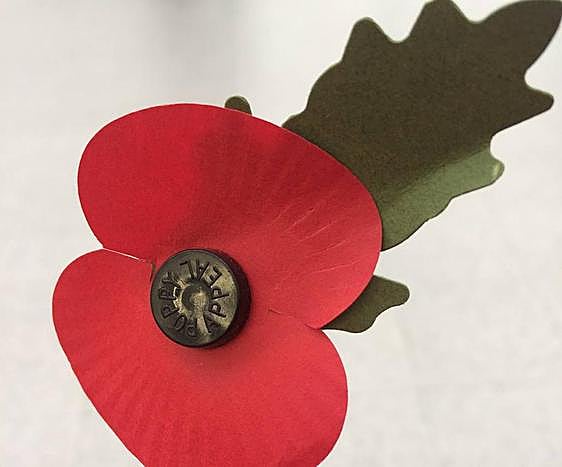 Royal British Legion annual Poppy Appeal on the Costa del Sol gets under way