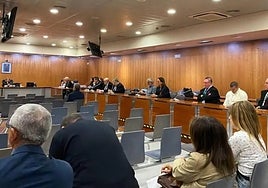 Ex-husband and hitman convicted 15 years after woman's body found dead in Alhaurín pool