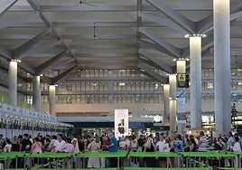 Queues for the check-in desks at Malaga Airport.