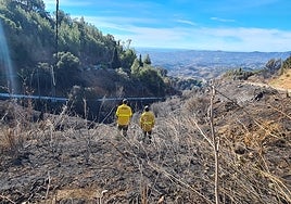 Forestry agents on part of the burnt ground in the Mijas fire.