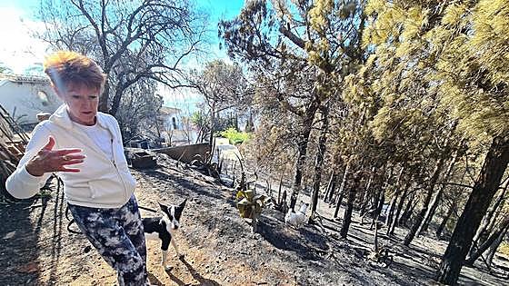 The horror of the Mijas wildfire, in pictures