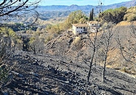 Scorched land in the Valtocado area of Mijas.