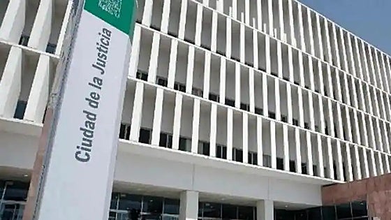 Man jailed for 23 years after stabbing his 89-year-old father to death in Malaga