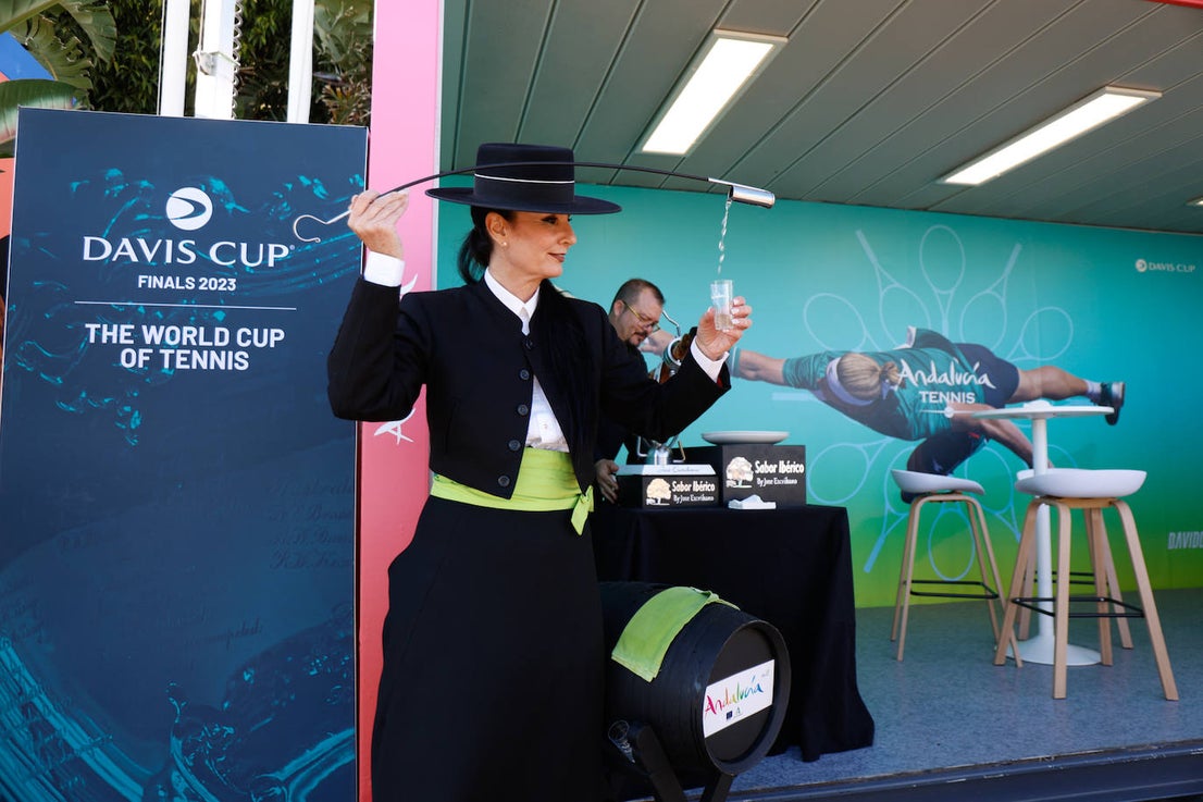 The Davis Cup in Malaga