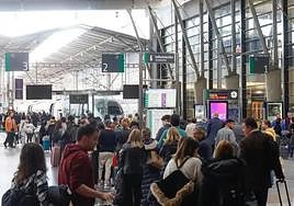 Passengers queue for an AVE high-speed train at Malaga's María Zambrano station.