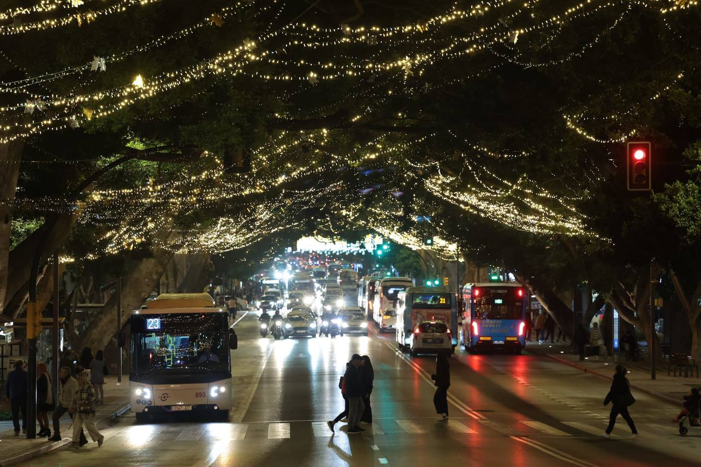 Malaga switches on its sparkling 2023 festive lights, in pictures