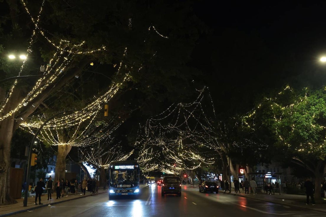 Malaga switches on its sparkling 2023 festive lights, in pictures