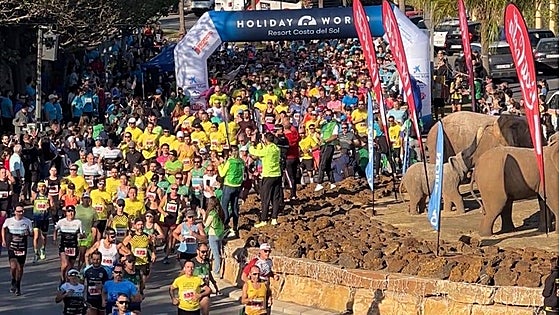 Record number of participants take part in the Holiday World Half Marathon
