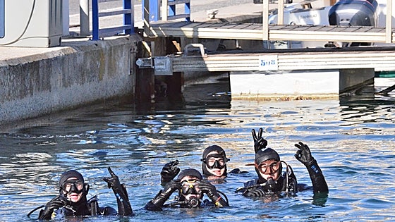 Dozens of divers and volunteers to take part in seabed cleanup in Benalmádena marina