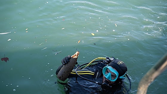 2,000 kilos of rubbish cleaned from seabed at Benalmádena's Puerto Marina