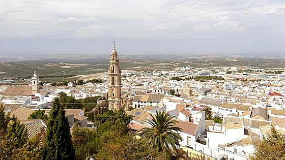 Estepa: large area of land with no forest