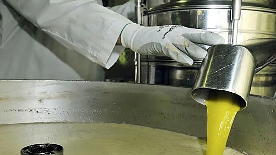 These are the 12 brands of olive oil the Junta de Andalucía recommends not consuming