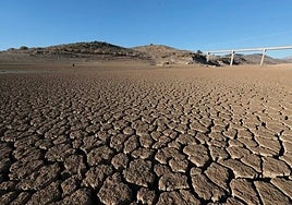 Cracks in the ground etch the landscape in the Conde del Guadalhorce reservoir.