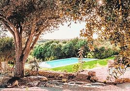 Hauser & Wirth, an island repurposed as an art centre.