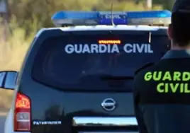 Three arrested for alleged horse theft in Malaga after one animal tracked down to Seville and the other found dead in a slaughterhouse