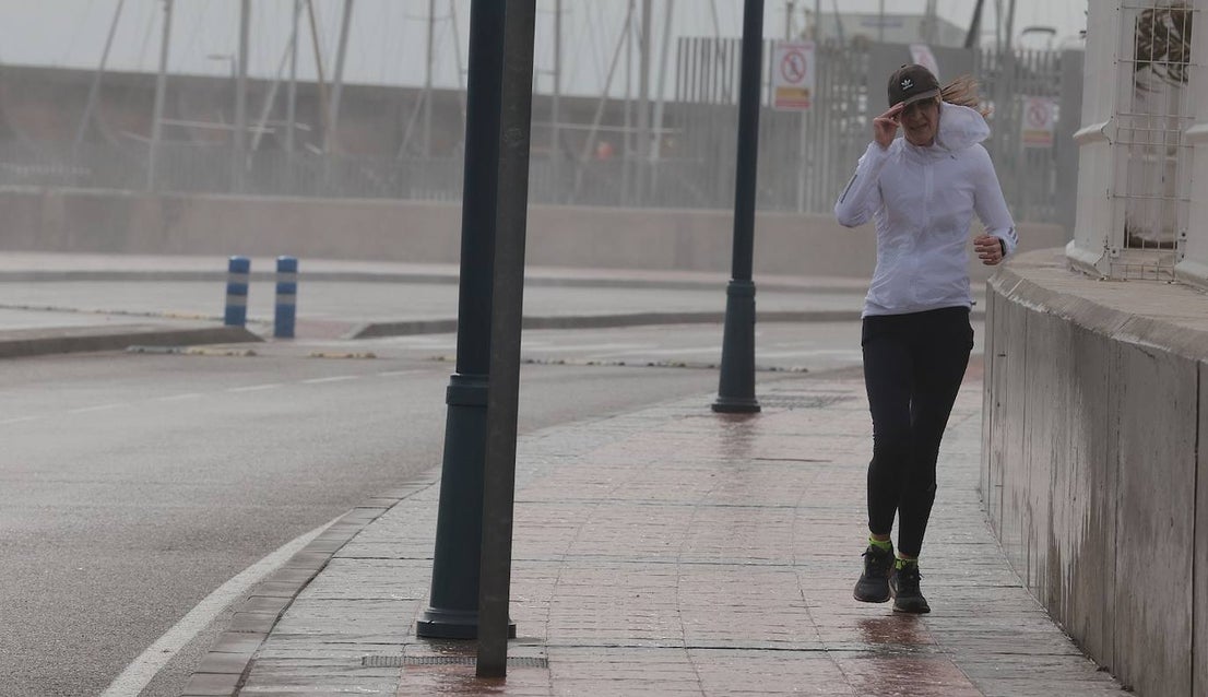 Malaga city recorded the largest volume of incidents in the province 
