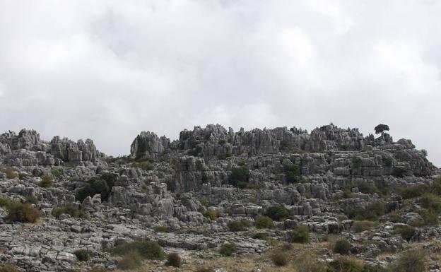 Llanos del Líbar. Though it may resemble el Torcal de Antequera, this rocky enclave is actually in Montejaque.