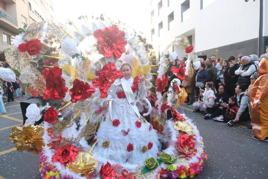 The city's streets were filled with colour for the carnival parade.