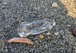 Close-up of one of the specimens at La Carihuela.