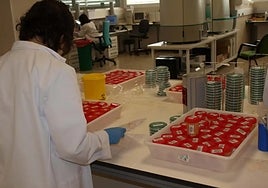 Lab professional at the Hospital Costa del Sol in Marbella.