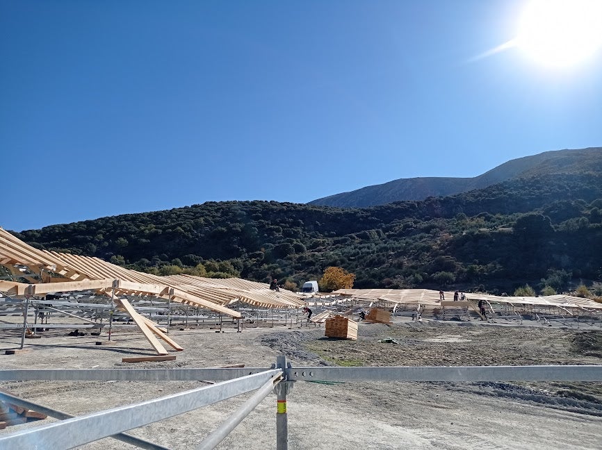 This is how an olive grove was transformed into a film set when the Oscar award contender Society Of The Snow was shot in Spain's Sierra Nevada