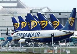 Aircraft in the Ryanair fleet (file image).