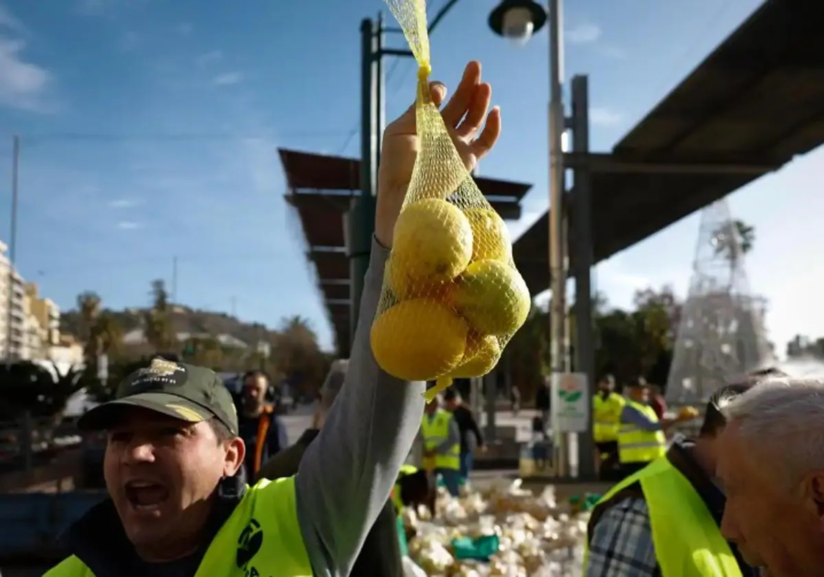 Citrus farmers protest in Malaga: &#039;We would rather give them away than have them stolen from us&#039;