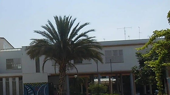 Costa del Sol school recognised for work on equal opportunities