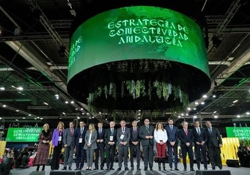 Junta working hard to secure direct flights with five priority long-haul destinations