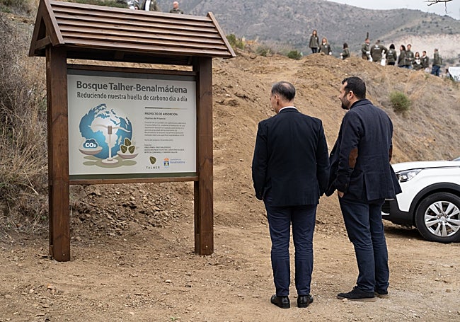 The mayor visits the reforestation site.