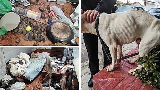 Dog is rescued by police after being found locked up without food or water in Marbella storage shed